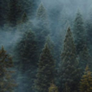 Meet your Posher, Kudzanayi